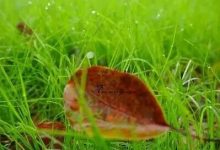 陰雨天氣持續(xù)在線，需防范強對流天氣~-岑溪生活—站式岑溪本地生活服務(wù)平臺 www.liuxuelu.cn