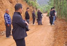 三堡紅賦能跨區(qū)聯(lián)調(diào)  五載山林積案一朝化解-岑溪生活—站式岑溪本地生活服務平臺 www.liuxuelu.cn