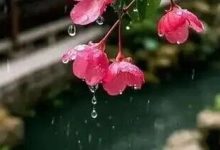 冷空氣威力還在，明天持續(xù)陰冷有雨天氣，何時(shí)轉(zhuǎn)晴回暖？-岑溪生活—站式岑溪本地生活服務(wù)平臺(tái) www.liuxuelu.cn