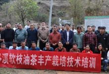 以評促干激活力 精準施策育人才-岑溪生活—站式岑溪本地生活服務平臺 www.liuxuelu.cn